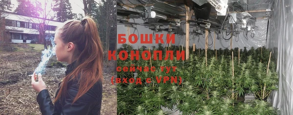 2c-b Краснослободск