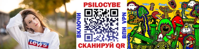 Купить  Армянск  Галлюциногенные грибы MAGIC MUSHROOMS 